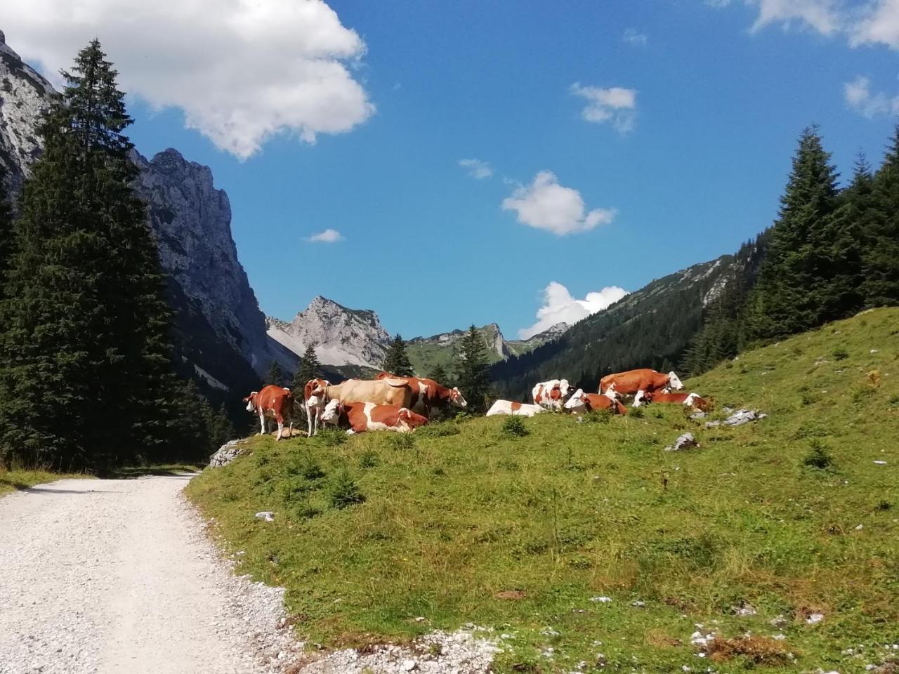 Gaestehaus Alpenblick Berwang Eksteriør bilde